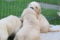 Die ersten 10 Wochen