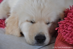 Die ersten Tage zu Hause